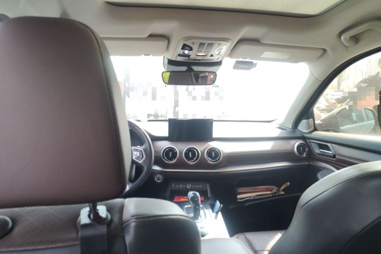 Used Wey VV6 2019 2.0T Two-Wheel-Drive Flagship Version China VI Standard
