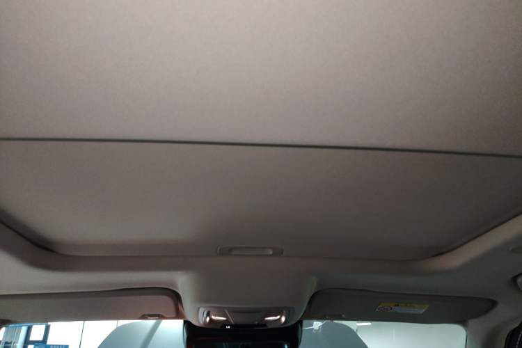 Used Tank 300 2021 City Edition 2.0T—Truly Stylish