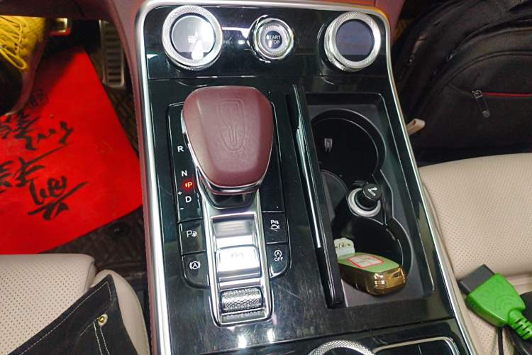 Used Hongqi H9 2020 3.0T Smart Connect Flagship Four-Seat Version