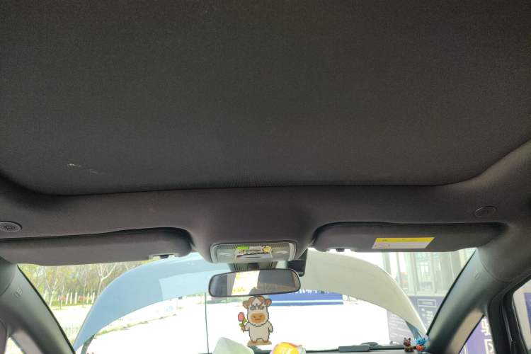 Used BYD Dolphin 2021 405 km Fashion Edition Headliner