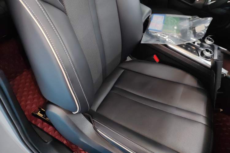 Used Tank 300 2021 Off-Road Edition 2.0T Conqueror Right Front Seat