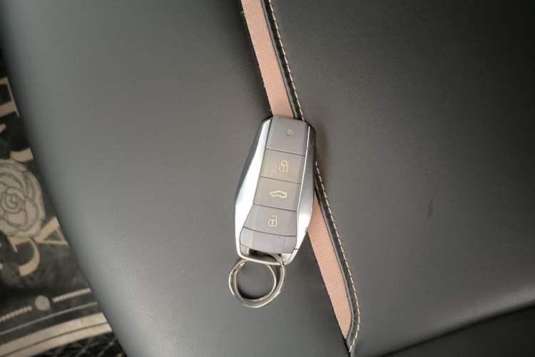 Used SOL E10X 2022 Flower Fairy Style Baby's Breath
