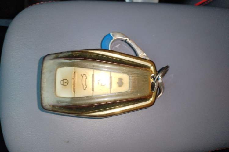 Used Geometry E Firefly 2023 320KM Cute & Handsome Tiger 5 Seats
