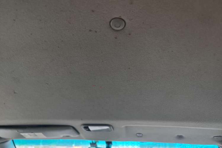 Used FORTHING Lingzhi  Headliner