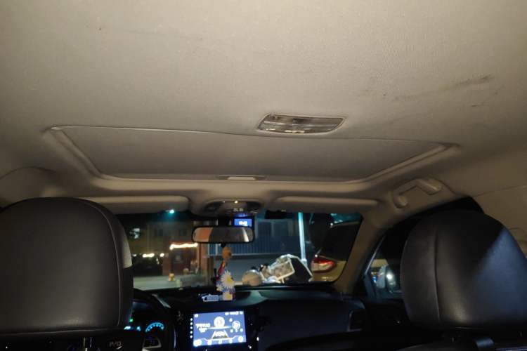 Used BYD e5 2016 300 Luxury Edition Headliner