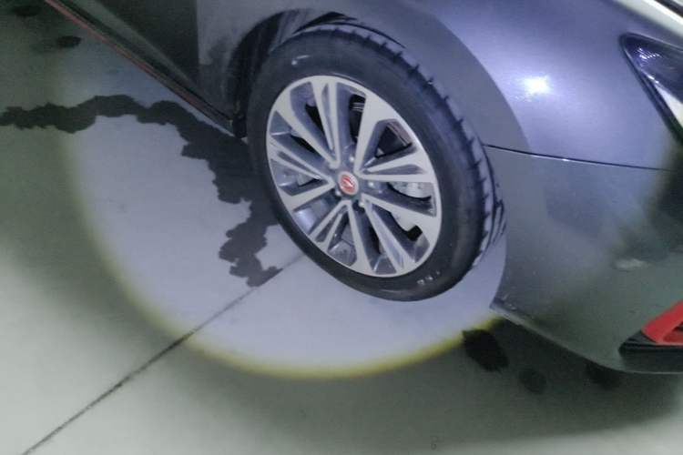 Used CHANGAN Ruicheng CC 2021 Blue Whale Edition 1.5T DCT Prestige Model
