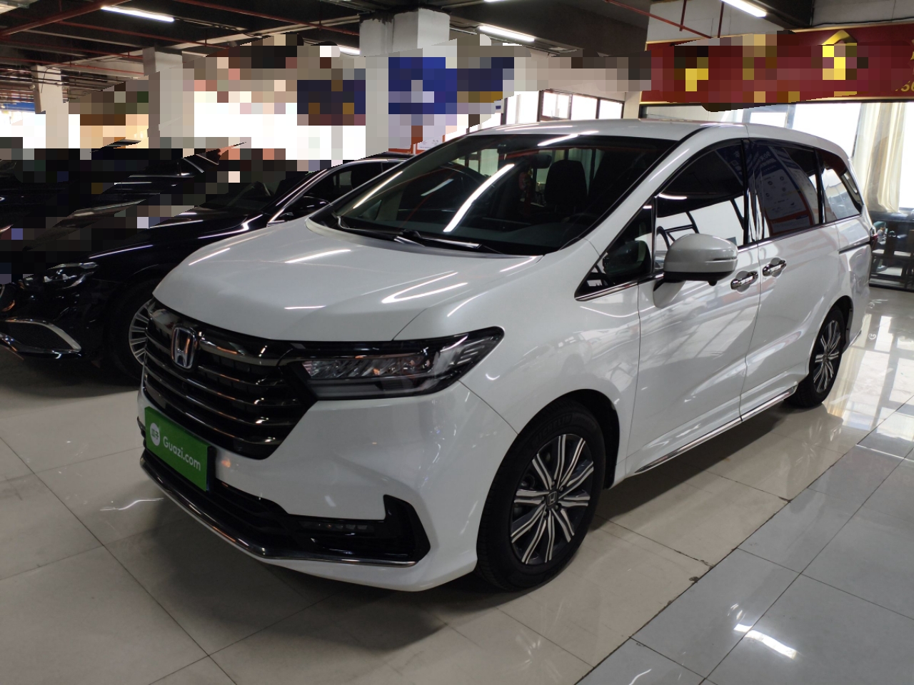 Parte inferior delantera