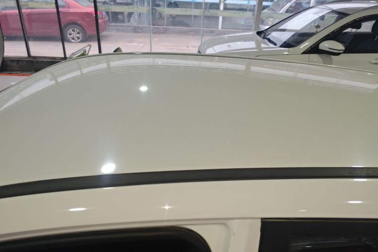 Used NETA N01 2020 430V
