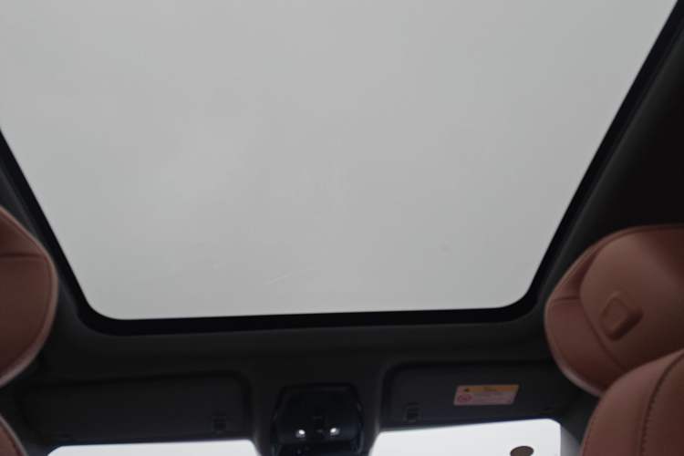 Used Cadillac OPTIQ 2024 Four-Wheel Drive Long-Range Version Headliner