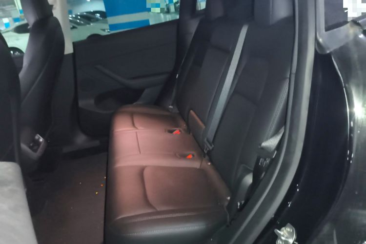 Used Tesla Model Y 2021 Standard Range Rear-Wheel Drive Version Left Rear Seat