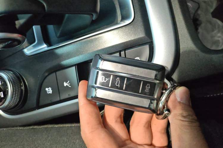 Used Tank 300 2024 2.0T Conqueror
