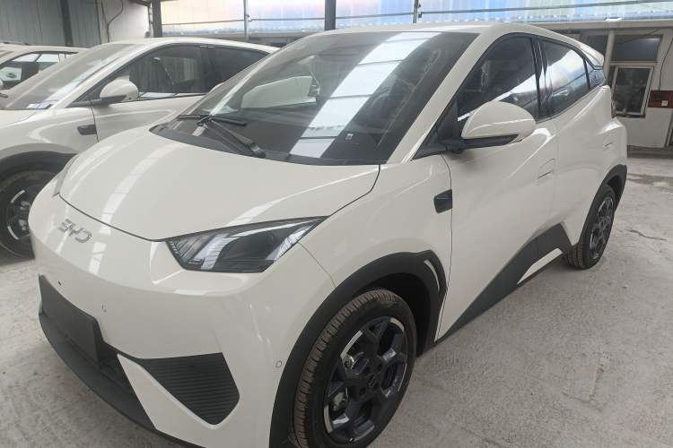 Used BYD Seagull 2025 Smart Drive Version 305 km Freedom Edition