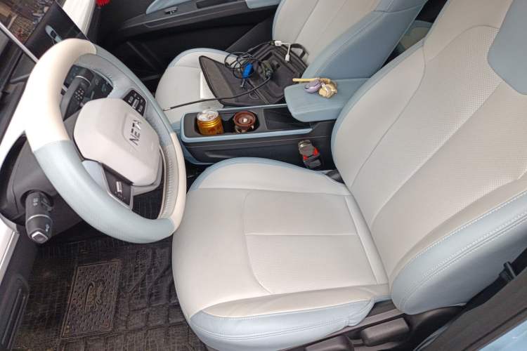 Used NETA AYA 2023 401 Lite Left Front Seat