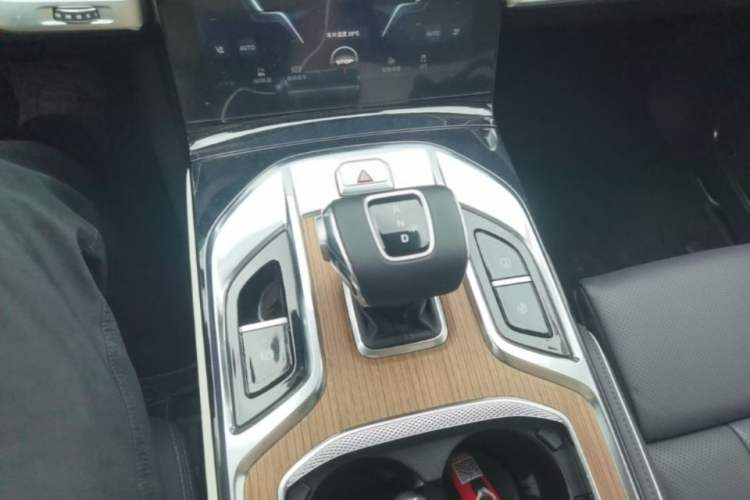 Used Hongqi E-HS9 2021 510 km Range Flagway Edition Six Seats Gear Lever