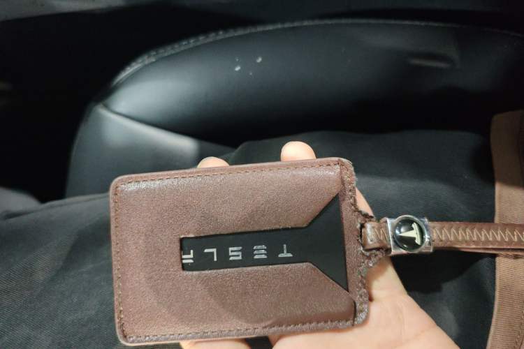 Used Tesla Model Y 2021 Long-Range All-Wheel-Drive Version 3D7
