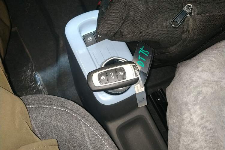 Used Geely Galaxy Panda 2024 Panda Mini 200km Endurance Bear