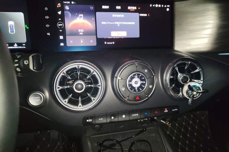 Used Tank 300 2024 2.0T Crosser