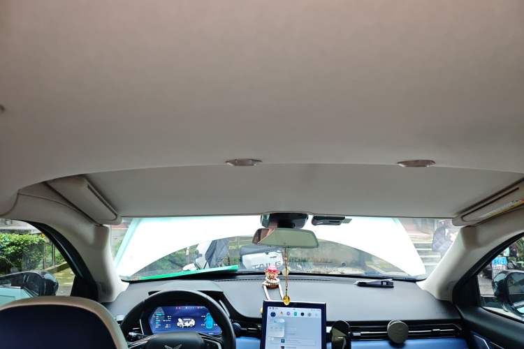 Used XPeng G3 2021 G3i 460N Headliner