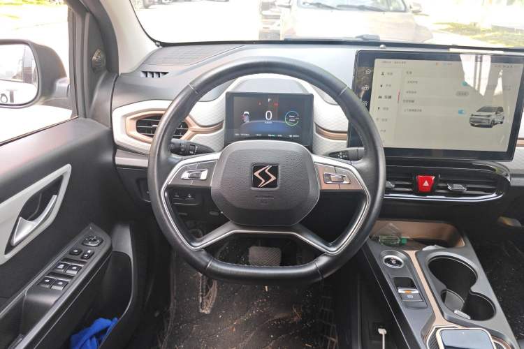 Used SOL E10X 2022 Flower Fairy Style Baby's Breath