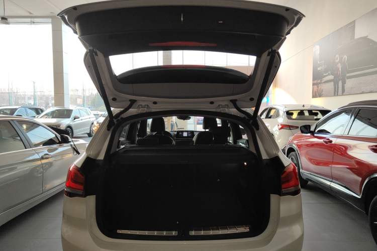 Used BMW X1 New Energy 2020 xDrive30Le Premium Edition
