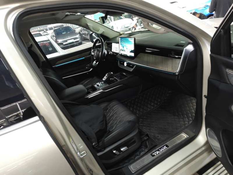 Used Tank 500 2022 3.0T Business Edition Summit Version 5 Seats — 24
