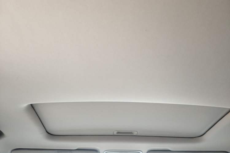 Used Honda Elysion 2012 2.4L VTi-S Prestige Edition Headliner