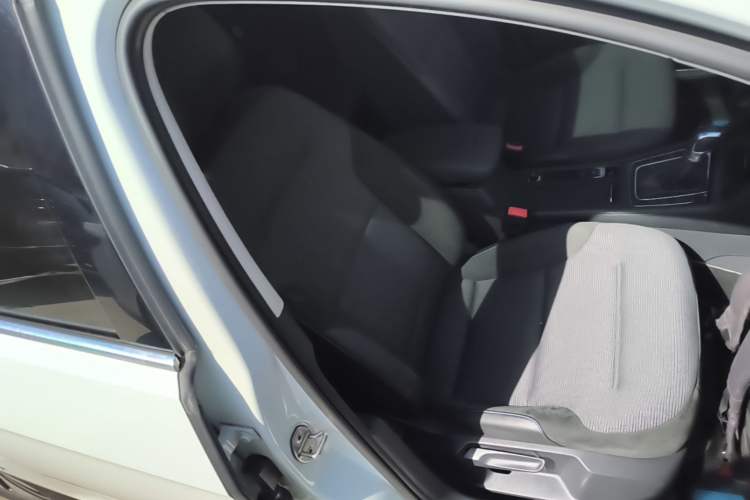 Used Volkswagen Golf Pure Electric 2020 Chari Right Front Seat