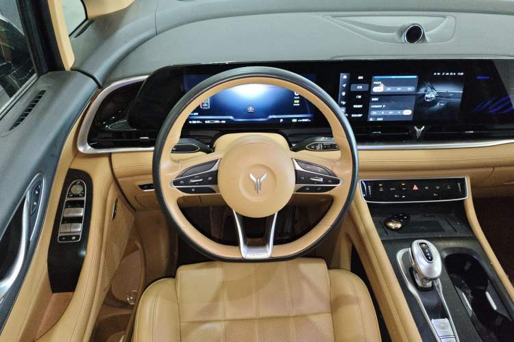 Used VOYAH Dream 2022 Low-Carbon Edition Home