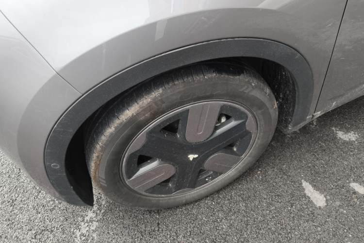 Used firefly 2025 Free Edition