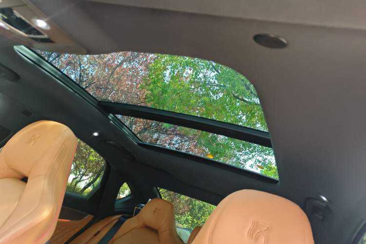 Used BYD Han 2022 DM-i 121KM Luxury Model Headliner