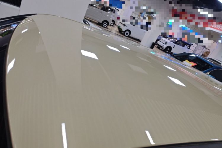 Used Qiyuan Lumin 2023 301km Honey Dew Edition