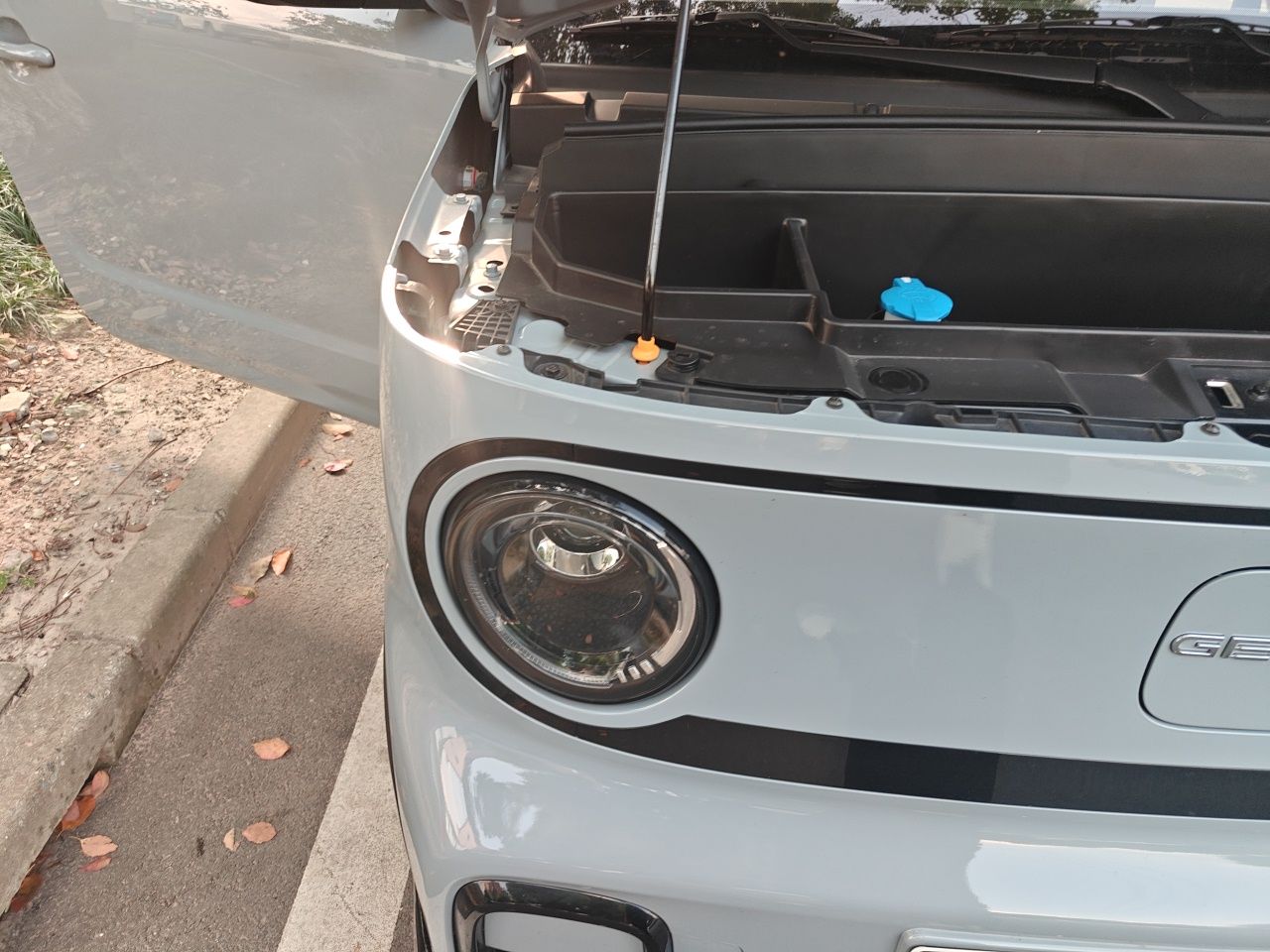 Geely Galaxy Panda 2025 210km Panda Kart — снимка 7