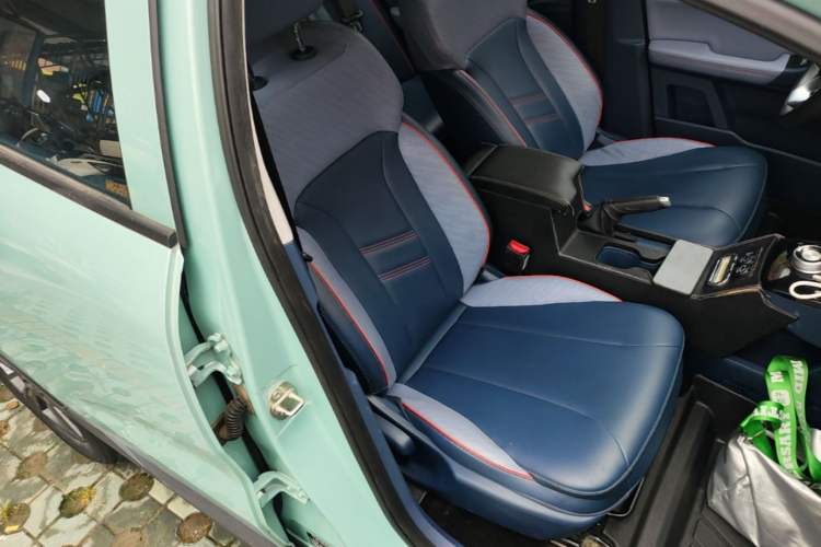 Used Geometry E Firefly 2022 320KM Cute Tiger 4-Seater