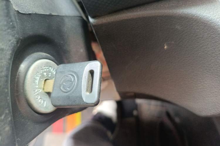 Used Dongfeng Ruichi 2021 2.4L Gasoline Two-Wheel-Drive Base Version with Long Cargo Bed 2TZD
