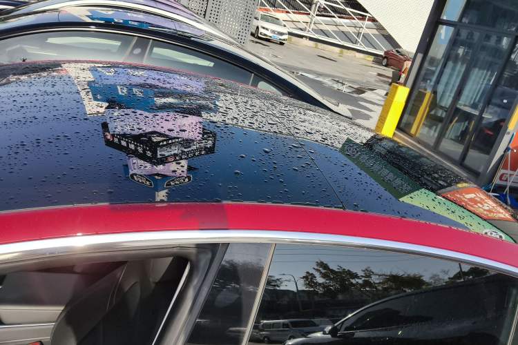 Used Tesla Model 3 2019 Standard Range Rear-Drive Upgraded Version Roof