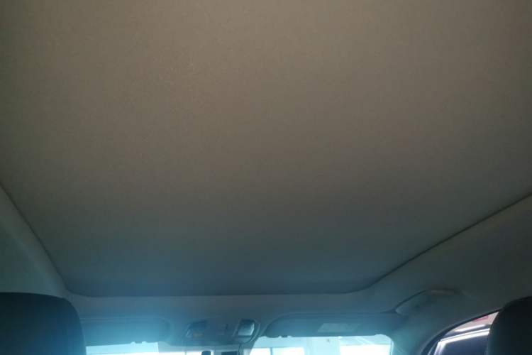 Used Kia Sportage R 2021 Ace 2.0L Challenge Edition Headliner