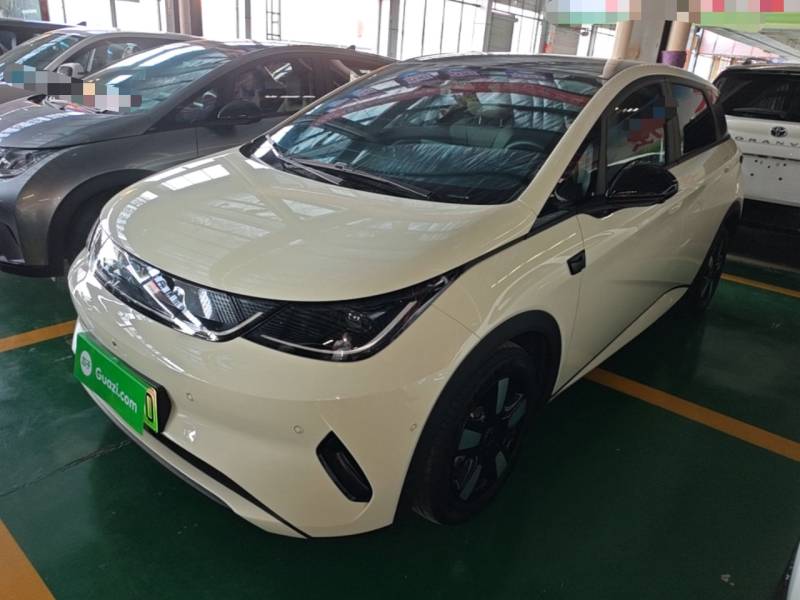 Used BYD Dolphin 2025 Intelligent Driving Version 410 km Fashion Edition — 1
