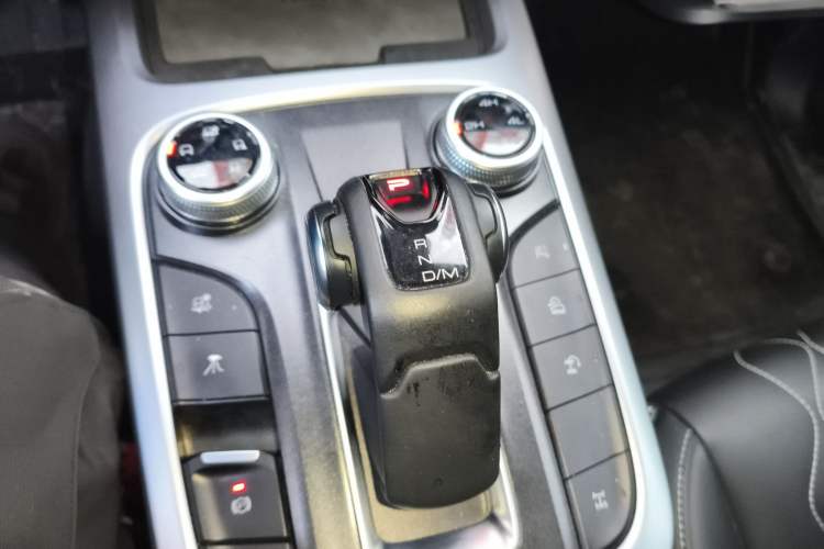 Used Tank 300 2024 2.0T Challenger
