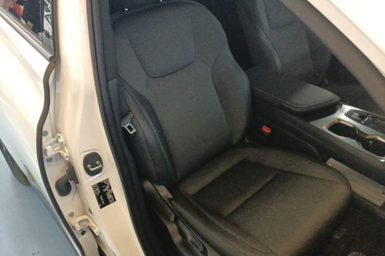 Used Lexus RZ 2023 450e All-Wheel-Drive Long-Range Version Right Front Seat