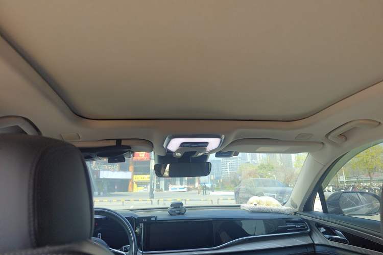 Used Hongqi H9 2020 2.0T Smart Connect Flagship Edition
