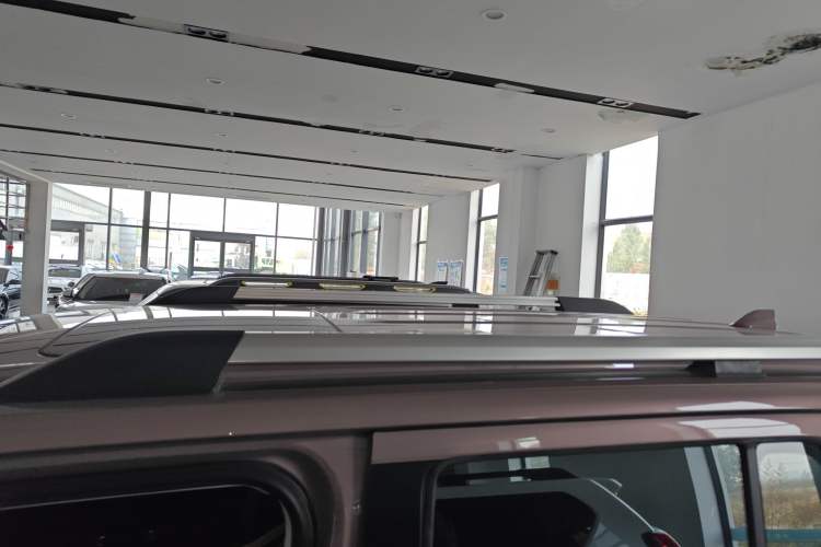 Used Tank 300 2023 City Edition 2.0T Essential Model