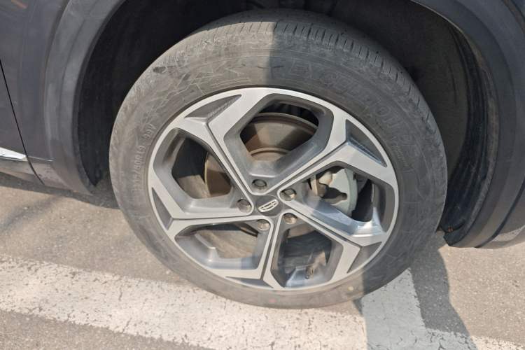 Used Geely Auto Monjaro L 2024 2.0TD DCT EVO Two-Wheel Drive Long-Range Version