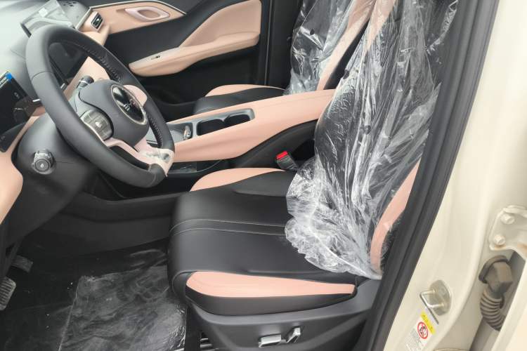 Used BYD Seagull 2025 405 km Flying Edition Left Front Seat