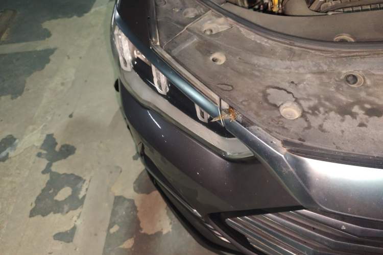 Used BYD Song Pro New Energy 2022 DM-i 51km Luxury Model