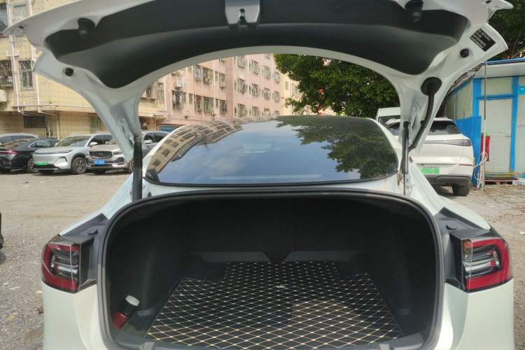 Used Tesla Model 3 2021 Standard Range Rear-Wheel Drive Upgraded Version 3D6