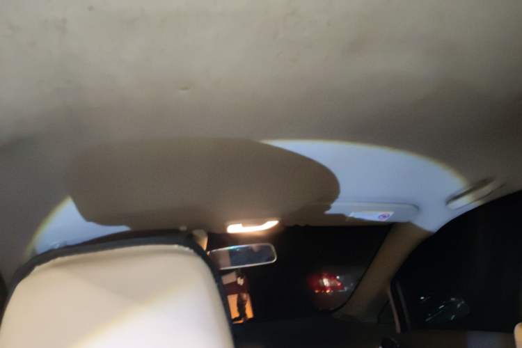 Used Chevrolet Sail 2010 Sedan 1.4L Manual Ideal Edition Headliner