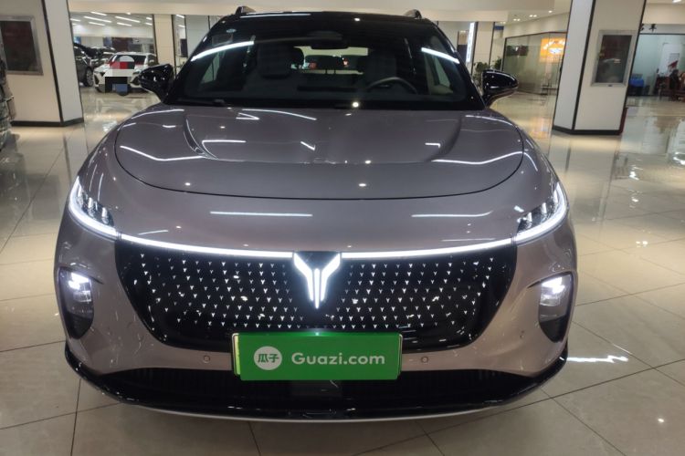 Used VOYAH COURAGE 2024 Four-Wheel Drive Global Edition