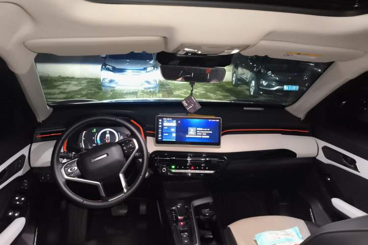 Used Haval LHERY 2021 High-Performance Version 1.5T Golden Rabbit Headliner