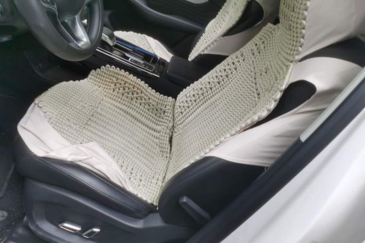 Used Roewe RX5 MAX 2019 300TGI Automatic 4G Connect Luxury Edition Left Front Seat