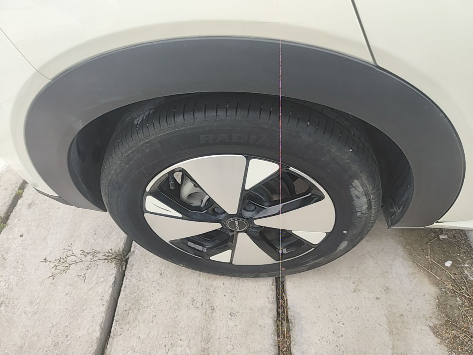 BYD Dolphin 2023 420 km Free Version — снимка 11